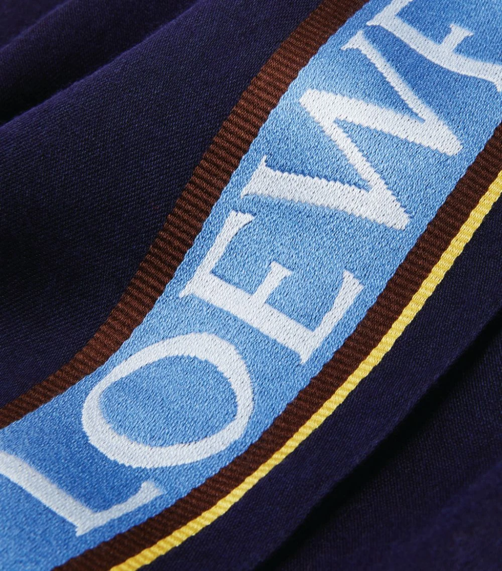 70X200 LOEWE BORDER SCARF BLUE/NAVY Scarves 5 70X200 LOEWE BORDER SCARF BLUE/NAVY Scarves - Image 3