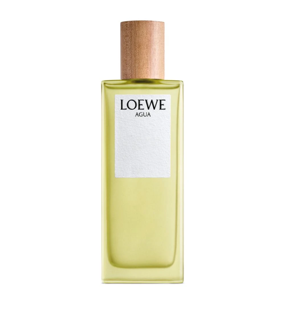 LOEWE Agua Eau de Toilette (50ml) Womens Perfume 4 LOEWE Agua Eau de Toilette (50ml) Womens Perfume - Image 2