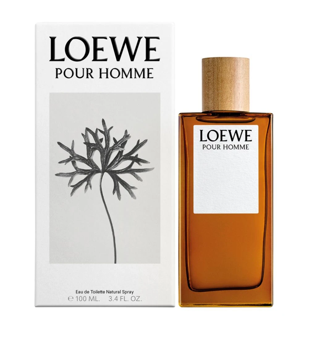 LOEWE Pour Homme Eau de Toilette (100ml) Mens Perfume 4 LOEWE Pour Homme Eau de Toilette (100ml) Mens Perfume - Image 2