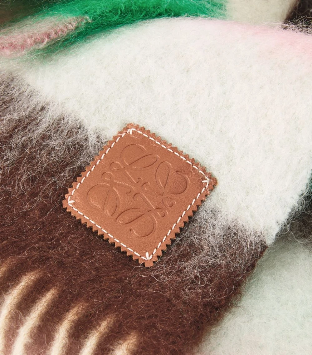 LOEWE Wool-Mohair Striped Scarf BROWN/LIGHT BLUE Scarves 5 LOEWE Wool-Mohair Striped Scarf BROWN/LIGHT BLUE Scarves - Image 3